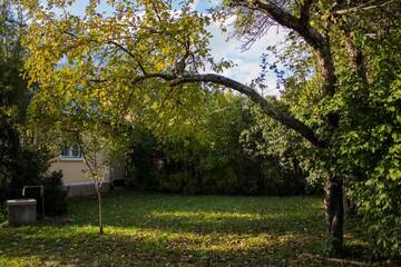 Фотографии Дома для отпуска Villa Ana г. Буштени (Румыния) №4 Фото Дома для отпуска Villa Ana г. Буштени 4