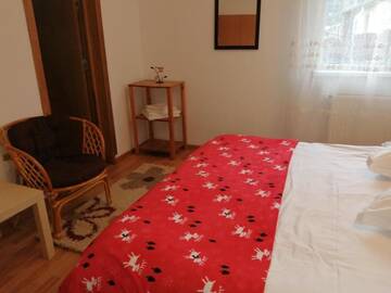 Фото номера Двухместный номер с 1 кроватью Гостевой дом Casa Zura г. Буштени 11