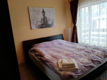 Фото номера Вилла Гостевой дом Villa Ade - Piatra Arsa Busteni г. Буштени 19