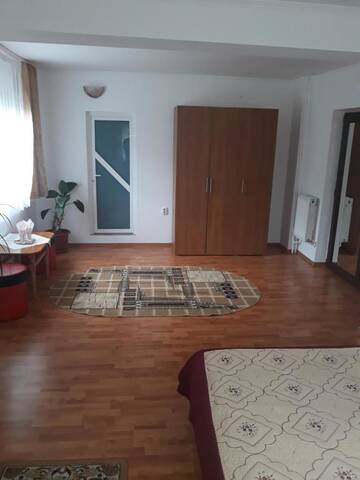 Фото номера Большой двухместный номер с 1 кроватью Гостевой дом Vila Bogdan г. Буштени 4