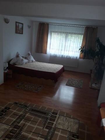 Фото номера Большой двухместный номер с 1 кроватью Гостевой дом Vila Bogdan г. Буштени 12