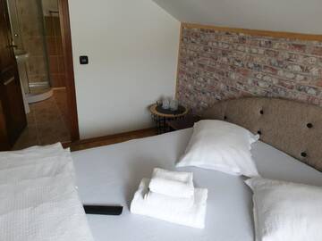 Фото номера Стандартный двухместный номер с 1 кроватью Гостевой дом Casa David г. Буштени 12