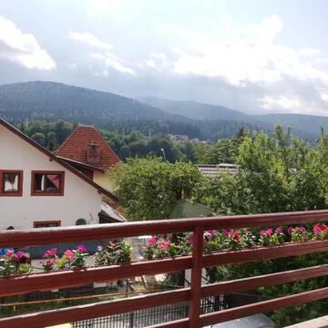 Фото номера Дом для отпуска Дома для отпуска Casa Vis de Munte 1 POIANA TAPULUI г. Буштени 72