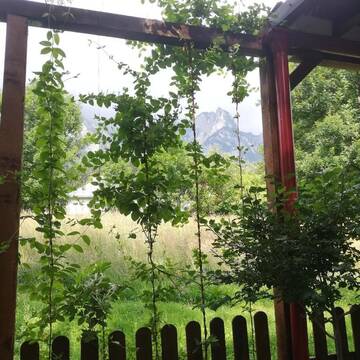 Фото номера Дом для отпуска Дома для отпуска Casa Vis de Munte 1 POIANA TAPULUI г. Буштени 55