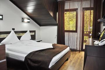 Фото номера Double Room with Free Pool Access - Vila 4 Курортные отели Complex Cochet г. Буштени 37