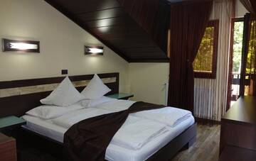 Фото номера Double Room with Free Pool Access - Vila 4 Курортные отели Complex Cochet г. Буштени 22