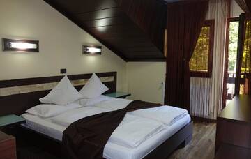Фото номера Double Room with Free Pool Access - Vila 4 Курортные отели Complex Cochet г. Буштени 8