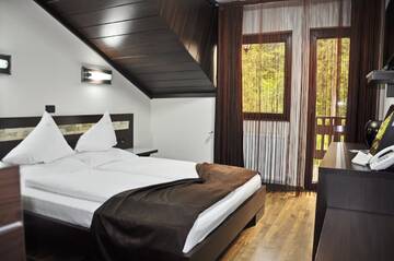 Фото номера Double Room with Free Pool Access - Vila 4 Курортные отели Complex Cochet г. Буштени 3