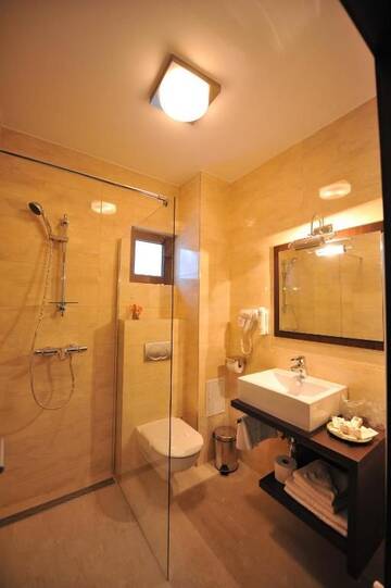 Фото номера Double Room with Free Pool Access - Vila 4 Курортные отели Complex Cochet г. Буштени 28