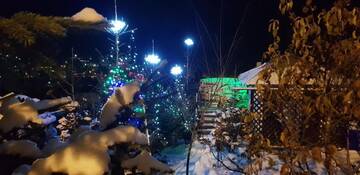 Фото номера Двухместный номер с 1 кроватью и балконом Гостевой дом Vila Alunis г. Буштени 17