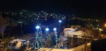 Фото номера Двухместный номер с 1 кроватью и балконом Гостевой дом Vila Alunis г. Буштени 21