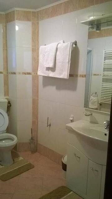 Фото номера Двухместный номер с 1 кроватью и балконом Гостевой дом Vila Alunis г. Буштени 22