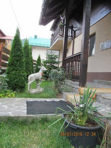 Фото номера Двухместный номер с 1 кроватью Гостевой дом Casa Rosca Busteni г. Буштени 13