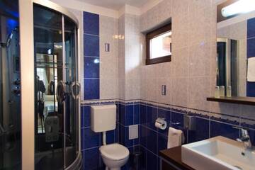 Фото номера Двухместный номер с 1 кроватью Гостевой дом Pension Casa Sara г. Буштени 38