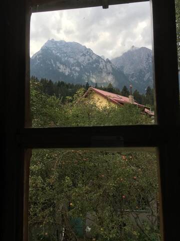 Фото номера Апартаменты с видом на горы Гостевой дом Bucegi View г. Буштени 10