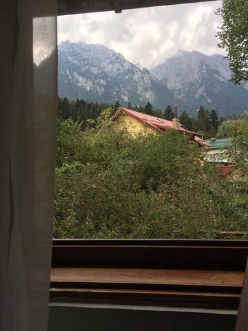 Фото номера Апартаменты с видом на горы Гостевой дом Bucegi View г. Буштени 11