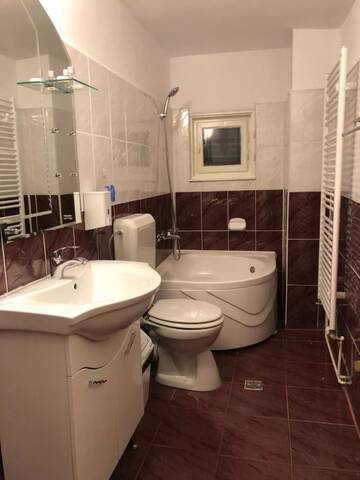 Фото номера Cемейный номер с собственной ванной комнатой Гостевой дом Casa Mina г. Буштени 4