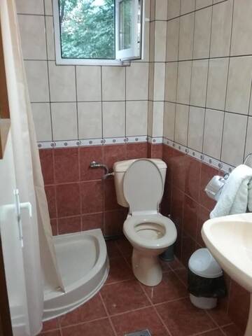 Фото Гостевой дом Pensiune Restaurant Sfinx г. Буштени 2