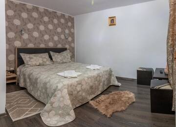Фото номера Двухместный номер с 1 кроватью и видом на горы Гостевой дом Casa Lazar г. Буштени 6