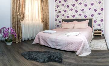 Фото номера Двухместный номер с 1 кроватью и видом на горы Гостевой дом Casa Lazar г. Буштени 7
