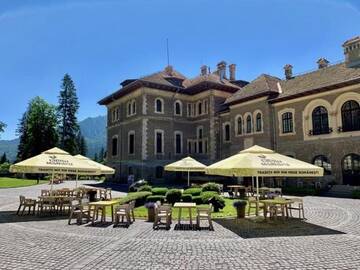 Фото номера Апартаменты с видом на сад Виллы Vila Castel Cantacuzino г. Буштени 3