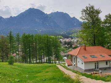 Фото номера Вилла Делюкс Виллы Vila Castel Cantacuzino г. Буштени 14