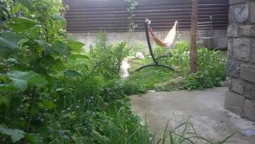 Фото номера Дом для отпуска Дома для отпуска Cabana de piatra г. Буштени 78