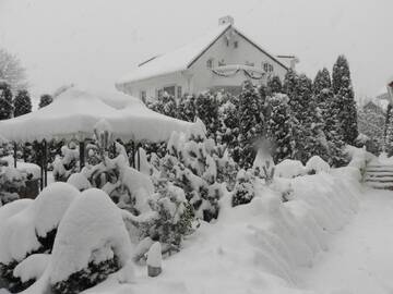Фотографии Виллы Boutique Hotel Club-Austria г. Буштени (Румыния) №1 Фото Виллы Boutique Hotel Club-Austria г. Буштени 1