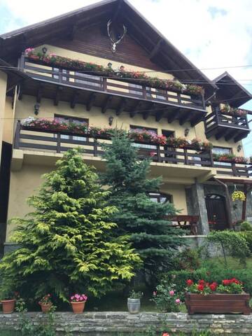 Фото Гостевой дом Pension Casa Ali &amp; Andu г. Буштени 5